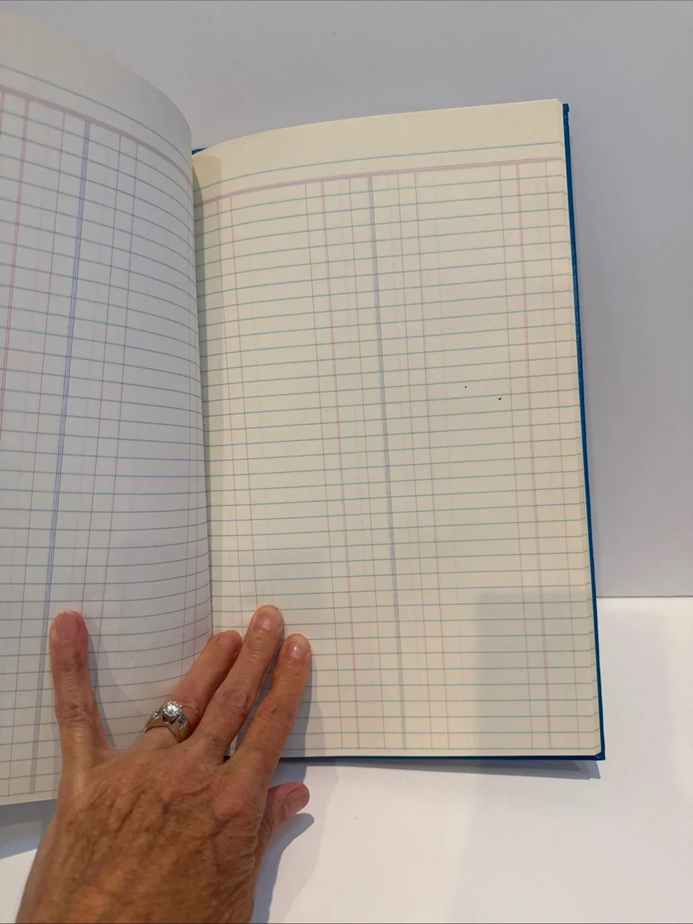 Woolworth VTG Double Entry Ledger account ledger Collectable.